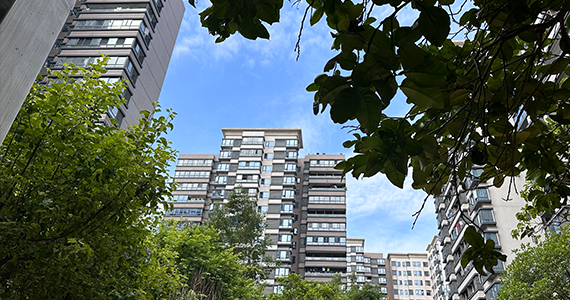 SSL 免费证书：保护网站安全的低成本解决方案